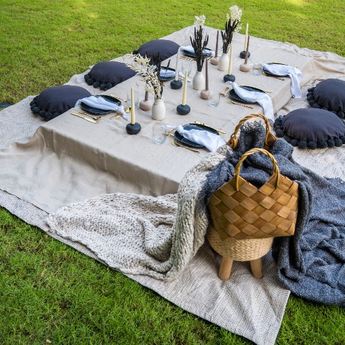 Modern Picnic