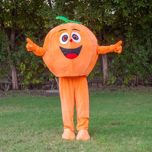 Orange Mascot