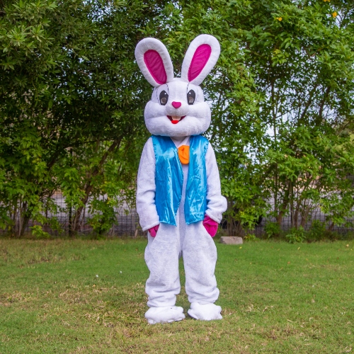 Lovely Bunny Mascot