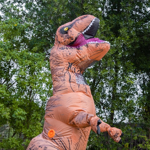 T Rex Mascot