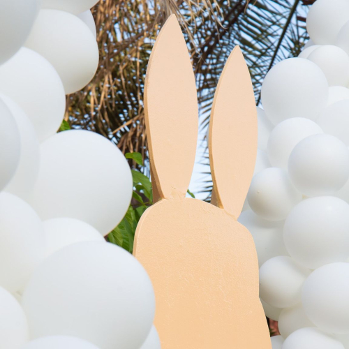 Bunny & Airballon Theme