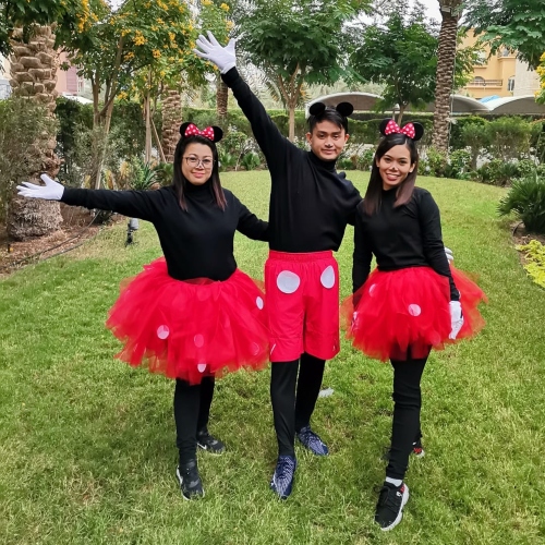 Mickey & Mini Show