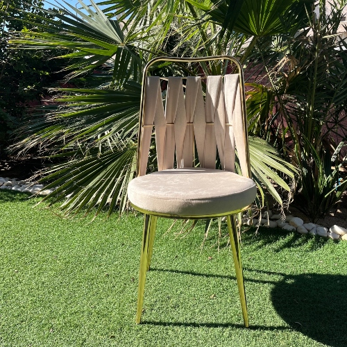Beige & Gold Chair
