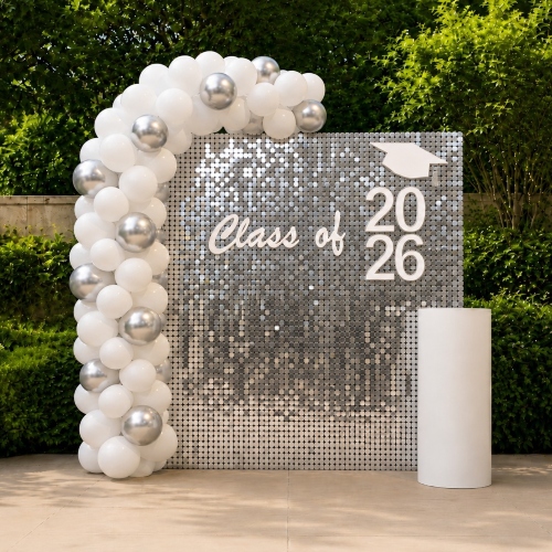 Silver Shimmer Wall