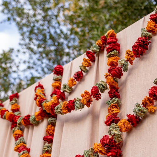 Traditional Backdrop