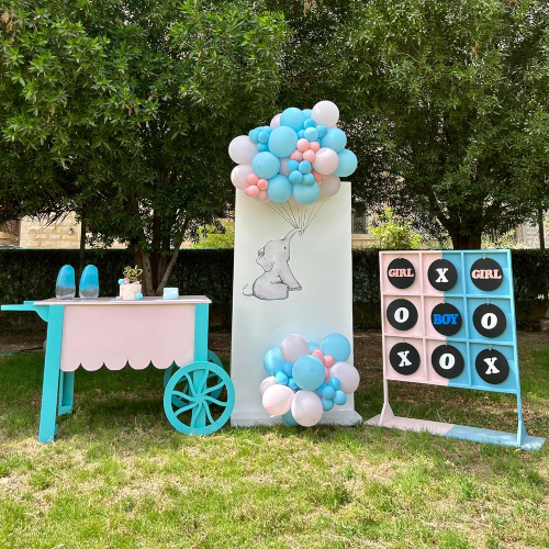 Elephant Gender Reveal