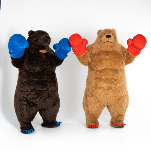 Boxing Bear Show