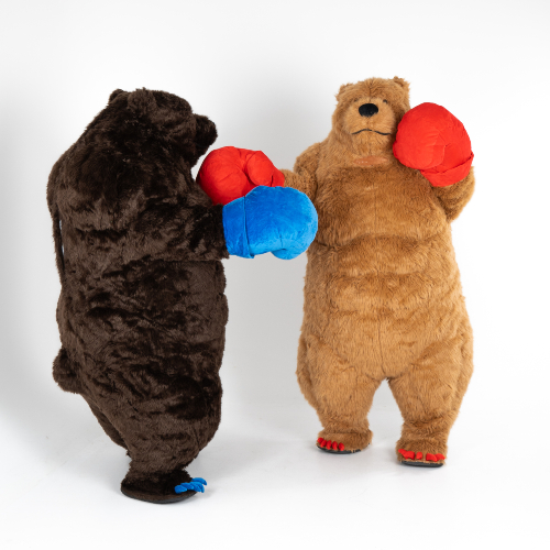 Boxing Bear Show
