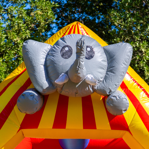 Elephant Slide