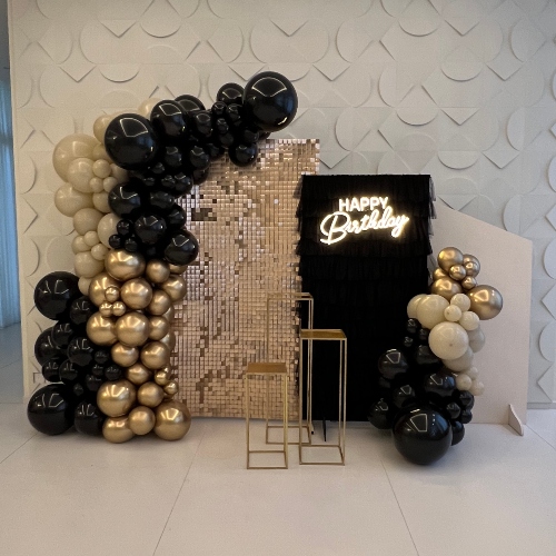 Sequins Backdrop with Black Tu-Tu Panel