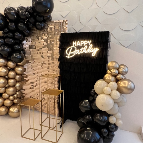 Sequins Backdrop with Black Tu-Tu Panel