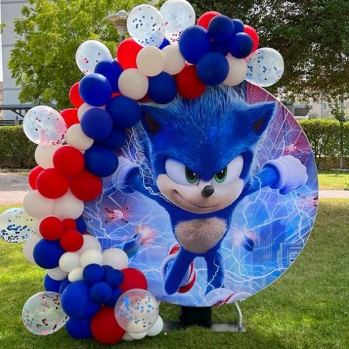 Sonic Theme