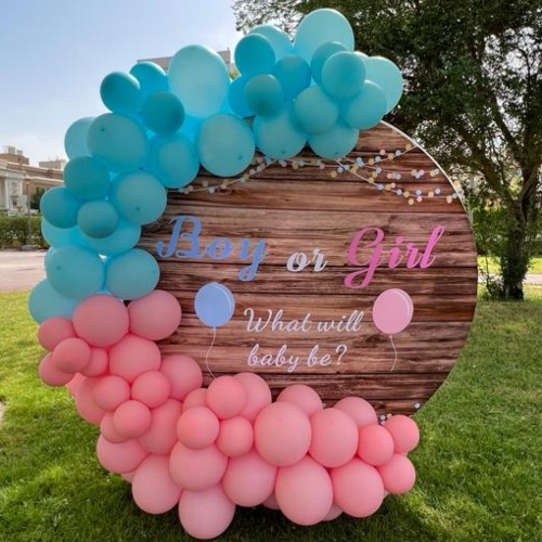 Gender Reveal Theme