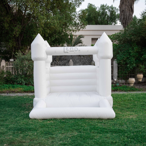 Slide 006