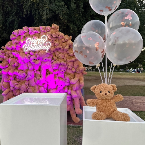 Teddy Bear Backdrop