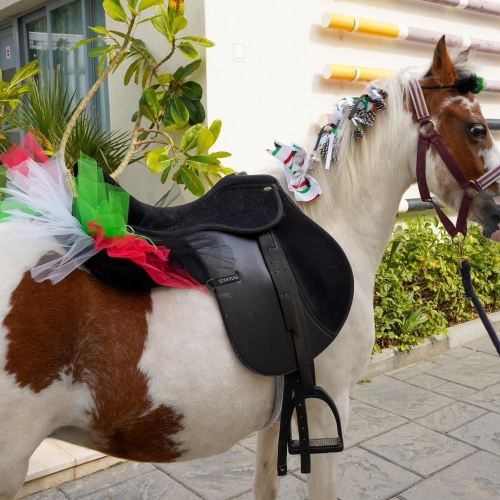 Horse Rental (Nation Day Theme)