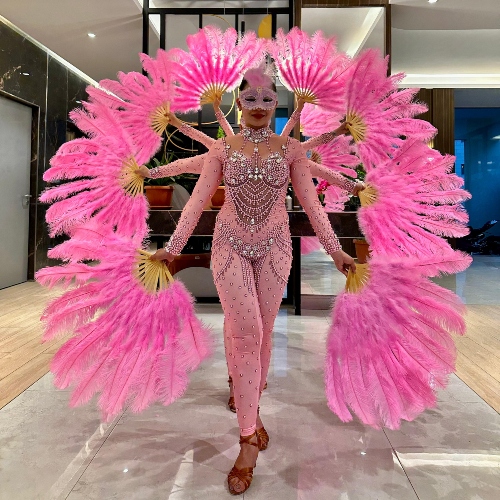 Feather Fan Pink Show