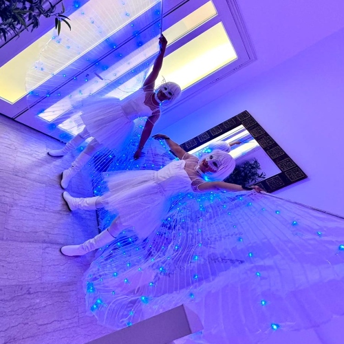 LED Wings Show