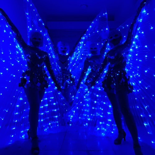 LED Wings Show