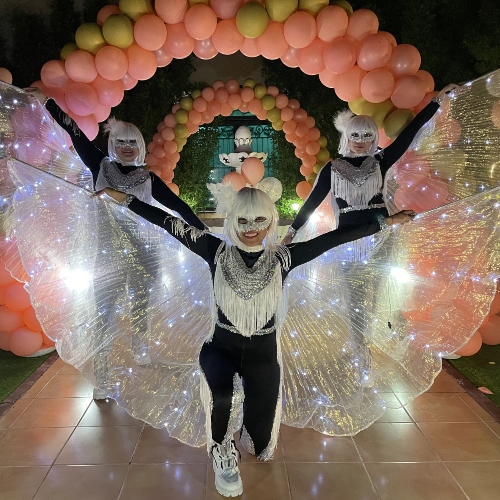 LED Wings Show