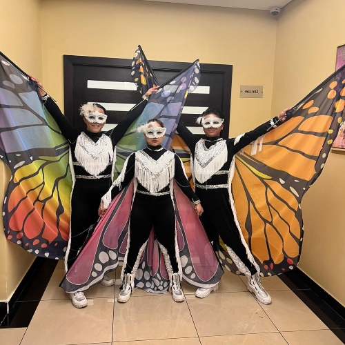 Butterfly Wings Show