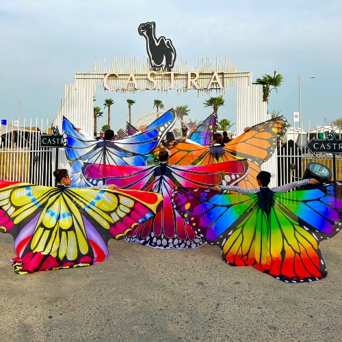 Butterfly Wings Show