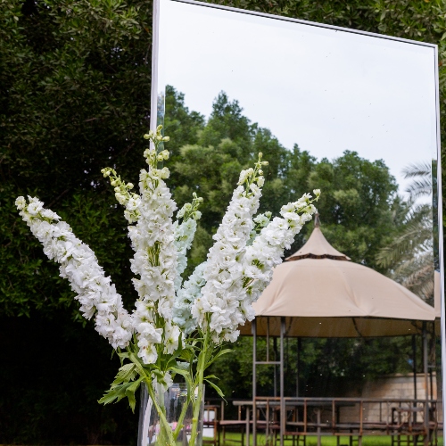 Mirror & Flowers