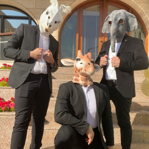 Animal Mask Show