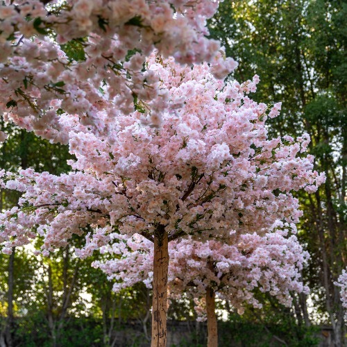 Spring Tree-Panels