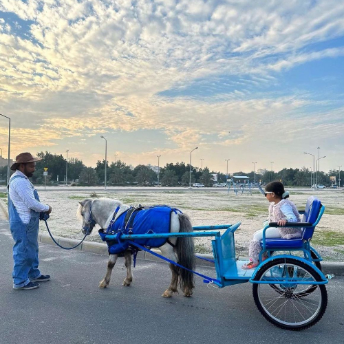 Pony Carriage