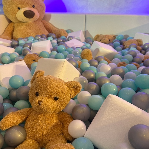 Teddy Bear Soft Play Pool