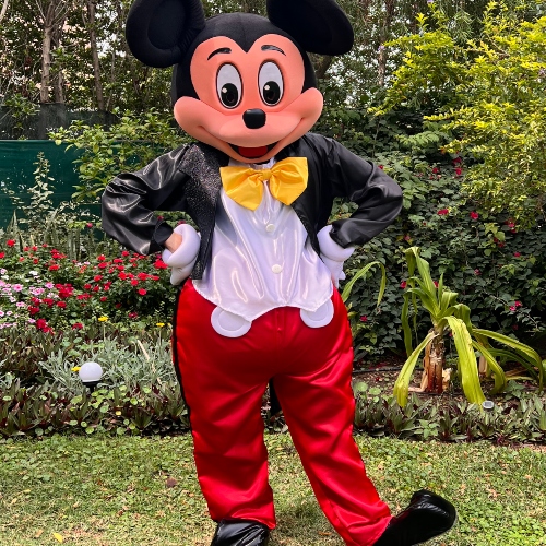 Mickey Mouse Mascot