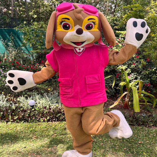 Paw Patrol Skye Mascot