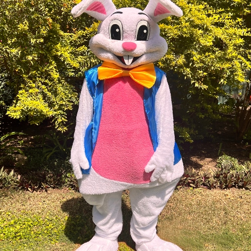 Bunny Mascot