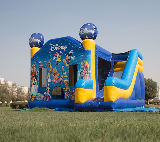 Disney Trampoline (Dry)