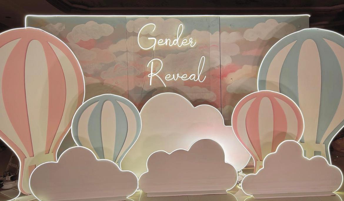 Gender Reveal Theme