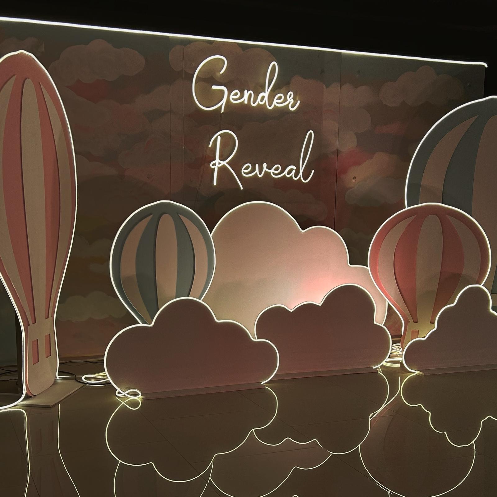 Gender Reveal Theme