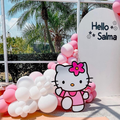 Hello Kitty Theme