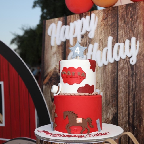 Farm Backdrop with Balloons Arch