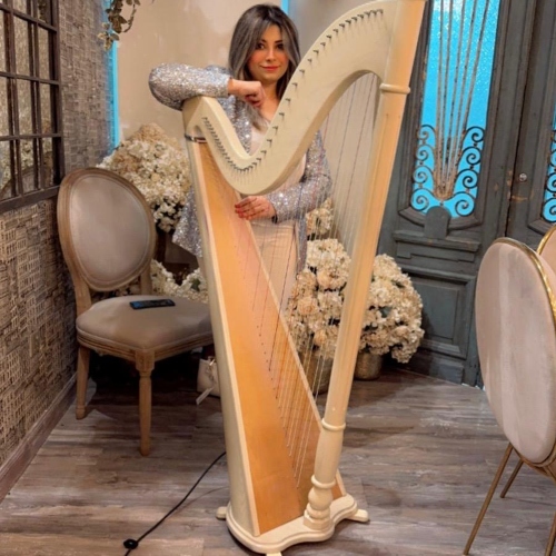 Harp Musician