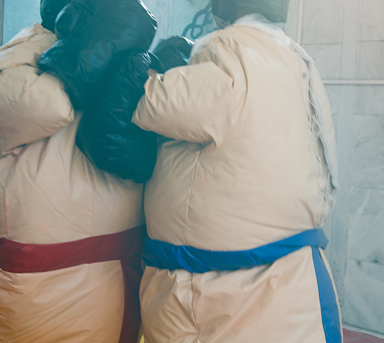 Sumo Wrestling (Adult Size)