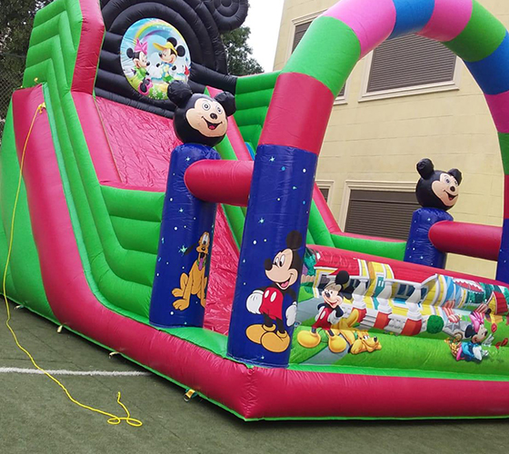 Minnie & Mickey Mouse Slide