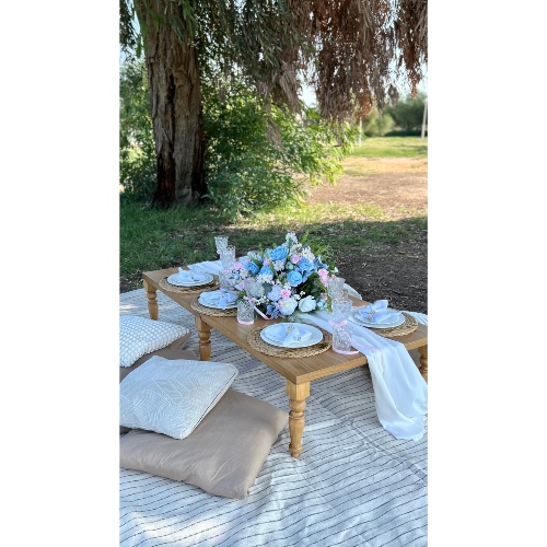 Blue & White Picnic
