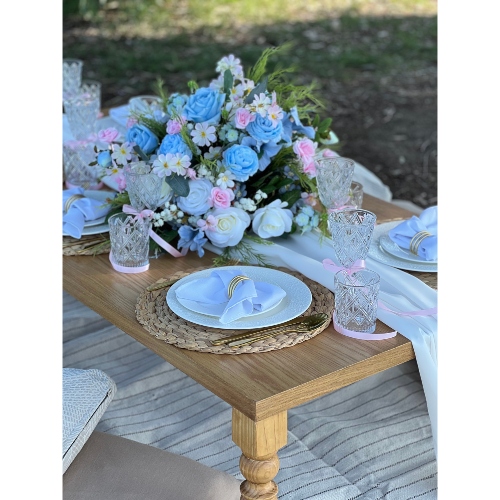 Blue & White Picnic