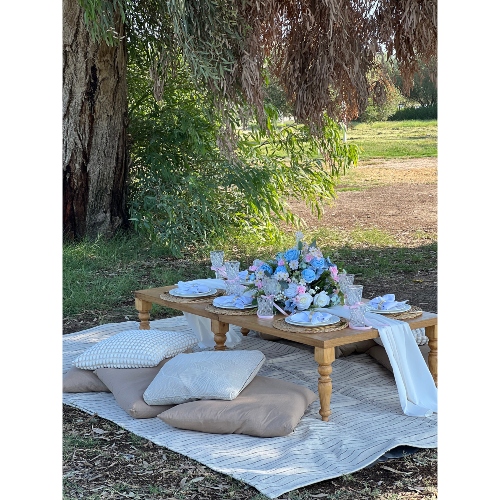 Blue & White Picnic