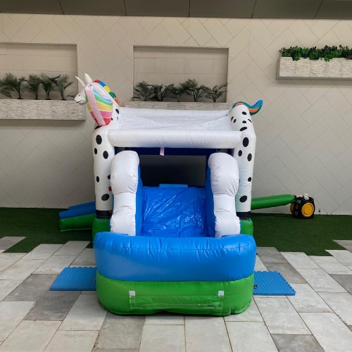Pony Bouncer (Water or Dry)