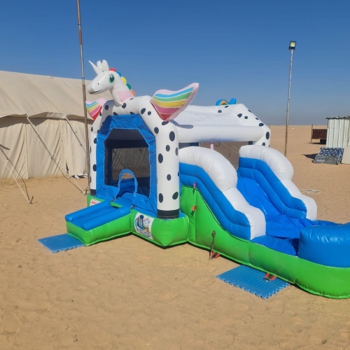 Pony Bouncer (Water or Dry)