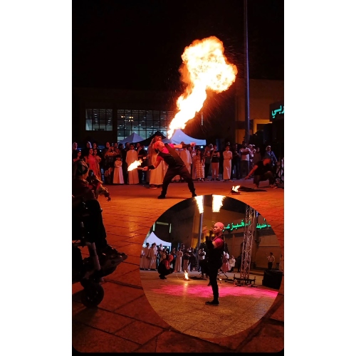Fire Show