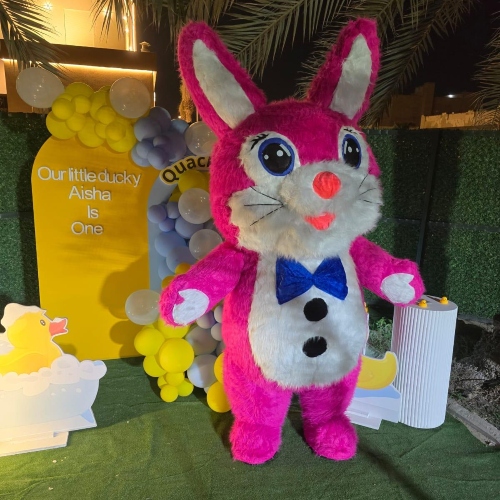 Mascot Show