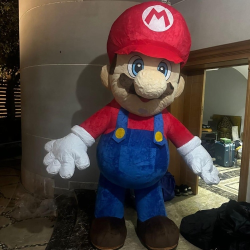 Mascot Show